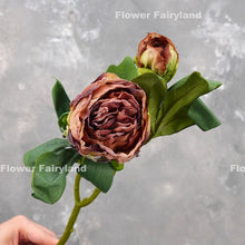 Load image into Gallery viewer, 2 Heads Dried Look Peony - Coffee
