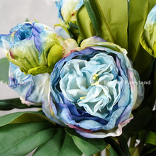 Load image into Gallery viewer, 2 Heads Dried Look Peony - Blue
